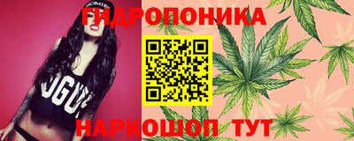 не бодяженный Краснодар