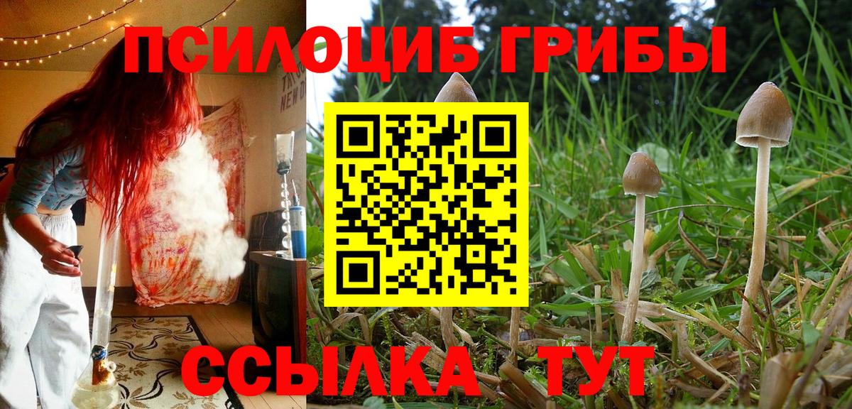 Галлюциногенные грибы мицелий  Вход с VPN  Железногорск 