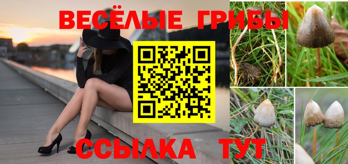 Галлюциногенные грибы GOLDEN TEACHER Железногорск